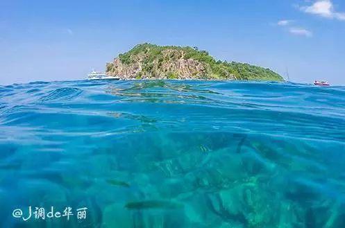 半条命：恐惧之泣