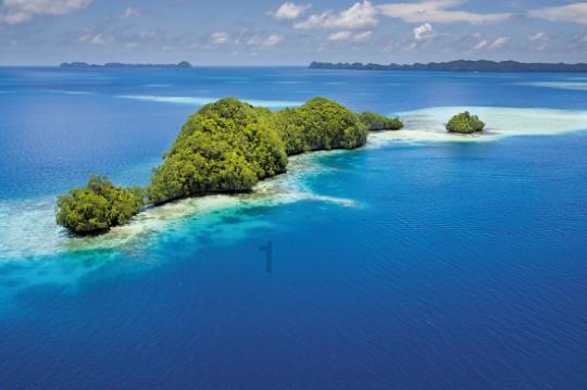 “流水贷”为2600余户企业放款22.6亿元